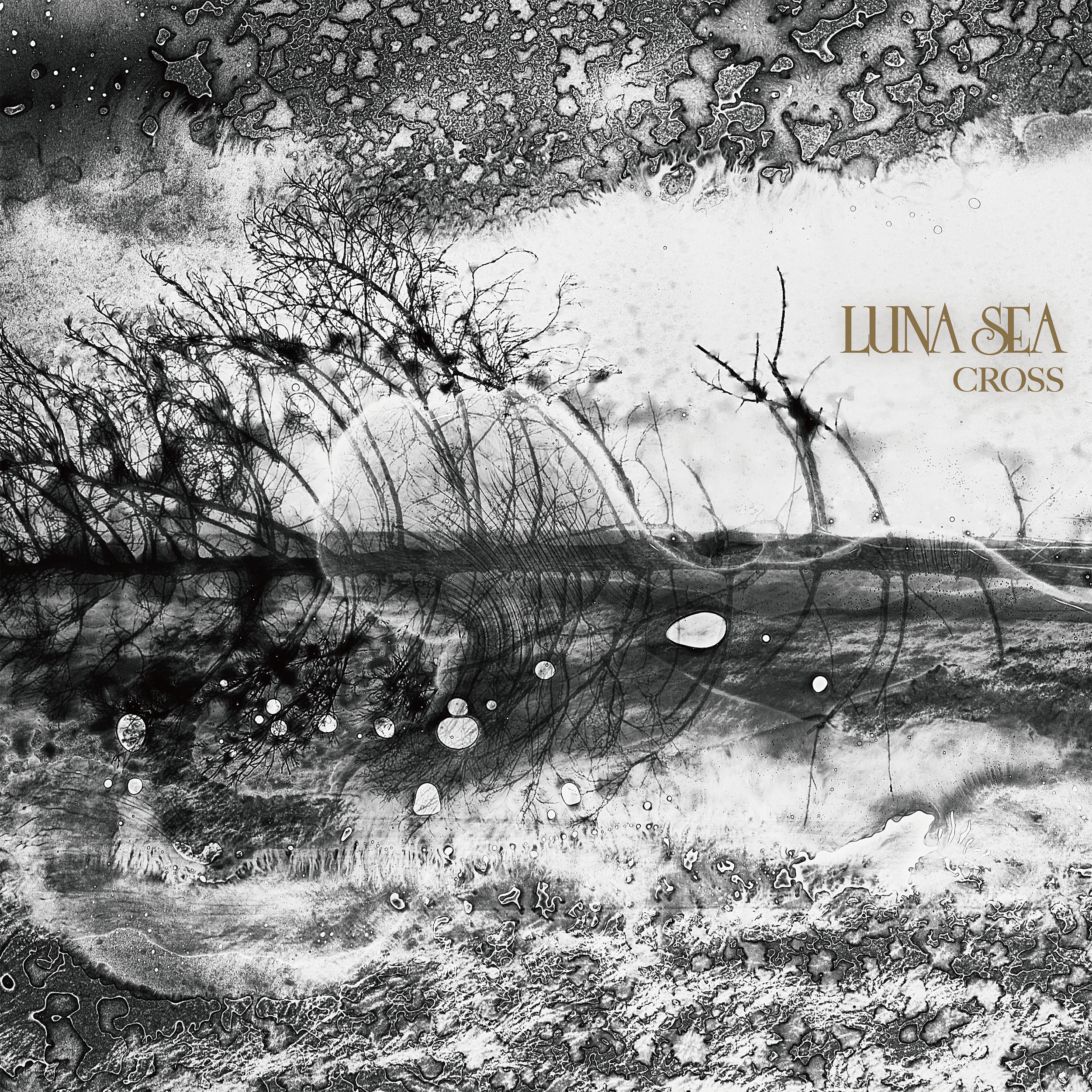 Produced by Steve Lillywhite, LUNA SEA's New Album CROSS. Special